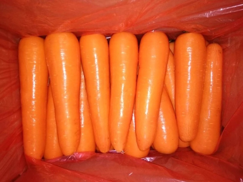 胡萝卜种植基地,胡萝卜超市供应,胡萝卜加工流程