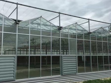 玻璃大棚建造找哪家 广安灌溉系统
