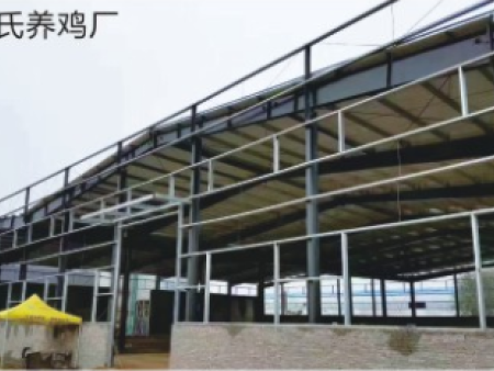 安阳钢结构工程-河南湖南钢结构工程设计