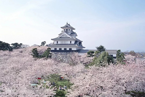 邯郸留学