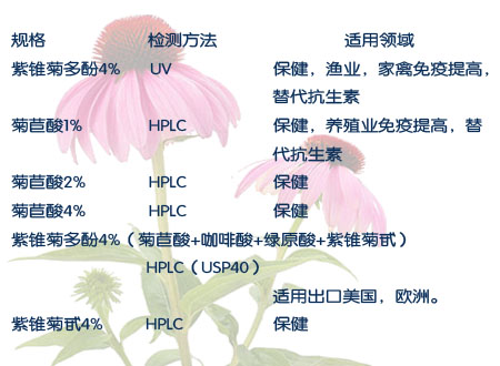 紫锥菊提取物生产商,紫锥菊提取物价格,紫锥菊提取物工厂